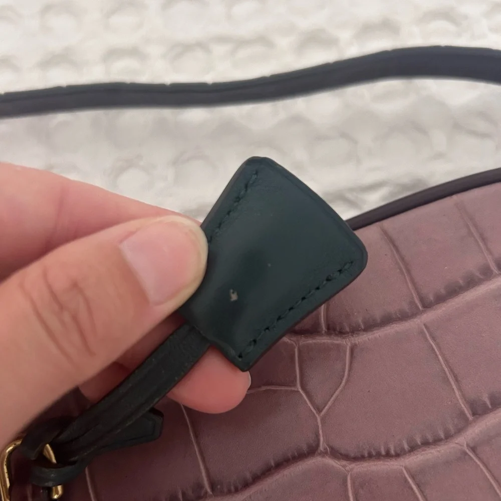 J. Crew Purple and Brown Colorblocked Croc Embossed Leather Crossbody Bag